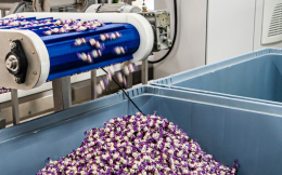 Productiemedewerker Confiserie Napoleon