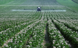 Assistent bedrijfsleider Agrarisch (HAS)