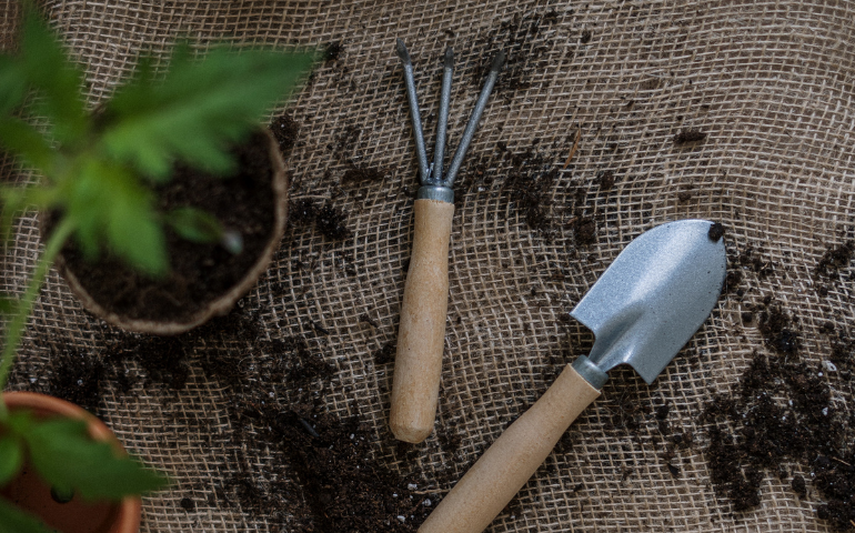 Medewerker groenvoorziening