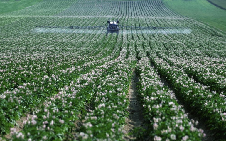 Assistent bedrijfsleider Agrarisch (HAS)